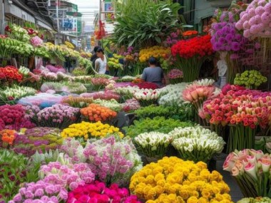 昆明鲜花批发市场，品质卓越的亲民花卉采购首选地