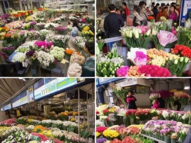 昆明鲜花批发市场，双赢策略下的行情解析与实惠之道