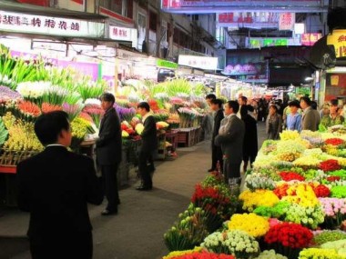 昆明鲜花批发市场，洞察行情，商机无限