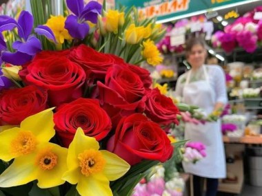 2023年鲜花市场行情解析与选购攻略