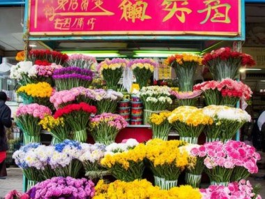 昆朋斗南鲜花批发，品质与实惠双优之选