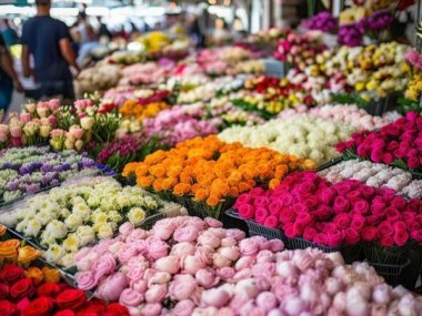 今日鲜花批发表，花卉市场行情全解析