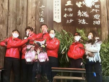 打造一品红快速生根的土壤配方指南