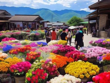 高原花海经济，揭秘云南鲜花批发奇观