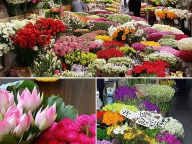 昆明鲜花市场探秘，一探花价之谜