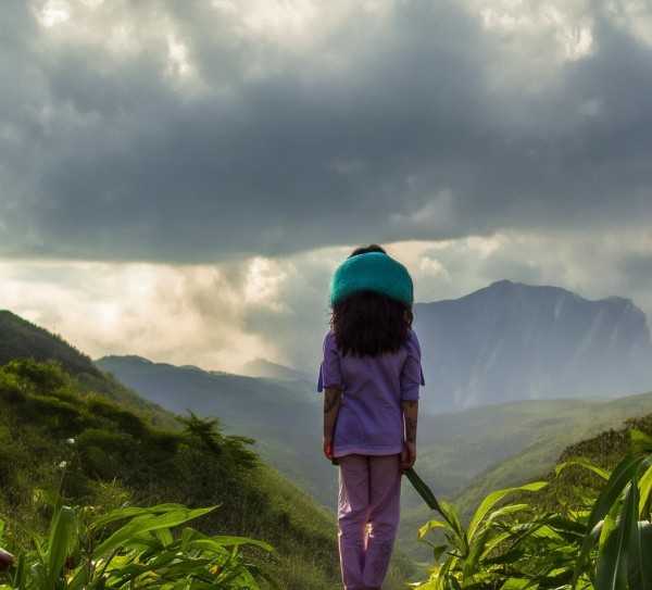三角梅掉花原因及防治攻略揭秘,三角梅开花期掉花原因及防治措施解析,植物,花期,三角梅,第1张