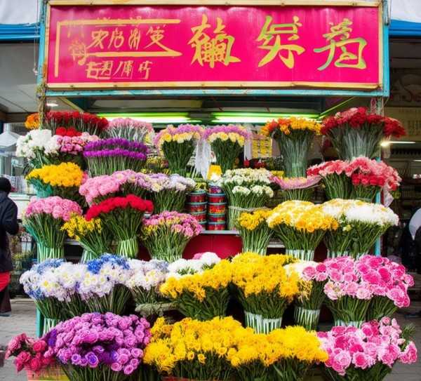 昆朋斗南鲜花批发，品质与实惠双优之选,昆朋斗南鲜花批发价格，品质与实惠的完美结合,鲜花,花卉,鲜花批发,第1张