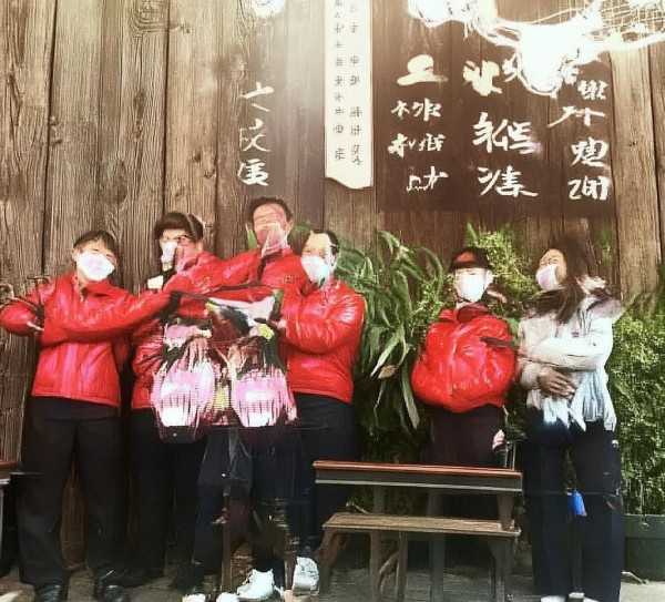 打造一品红快速生根的土壤配方指南,一品红扦插生根的理想土壤配方,扦插,第1张